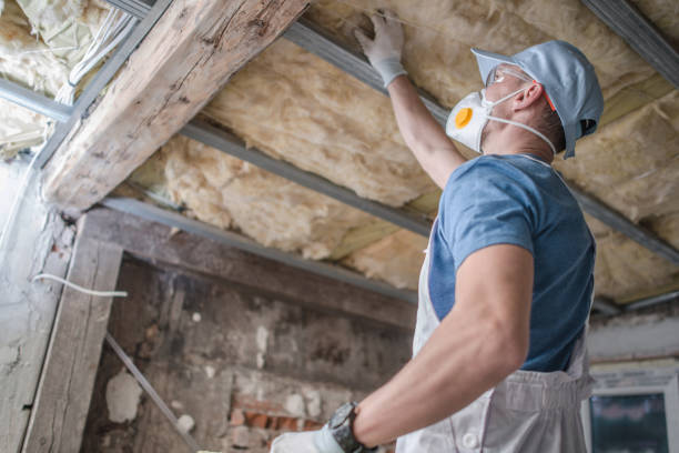 Best Insulation Removal  in New Hempstead, NY
